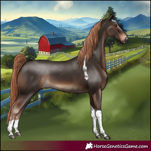 Horse Color:Liver Chestnut Tobiano Rabicano 