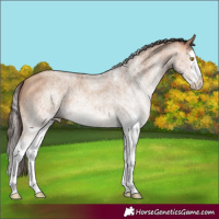Horse Color:White Spotted Amber Champagne Splash 