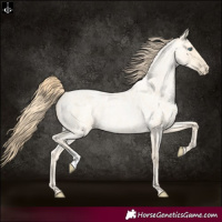Horse Color:Buckskin Roan Pearl and Buckskin Roan Pearl