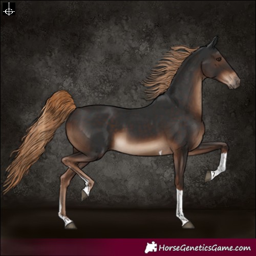 Horse Color:Liver Chestnut Tobiano Rabicano 