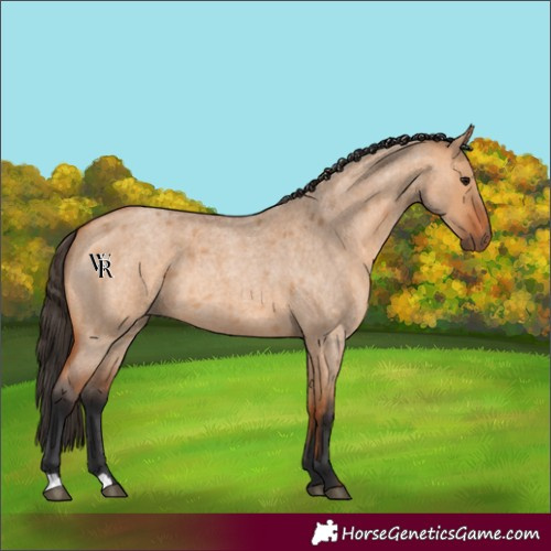 Horse Color:Unknown 