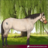 Horse Color:Bay Roan Dun 