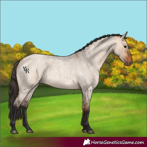 Horse Color:Unknown 