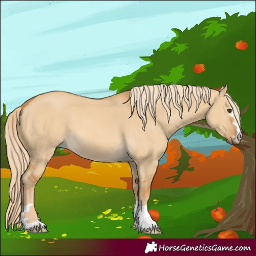 Horse Color:Palomino Dun 