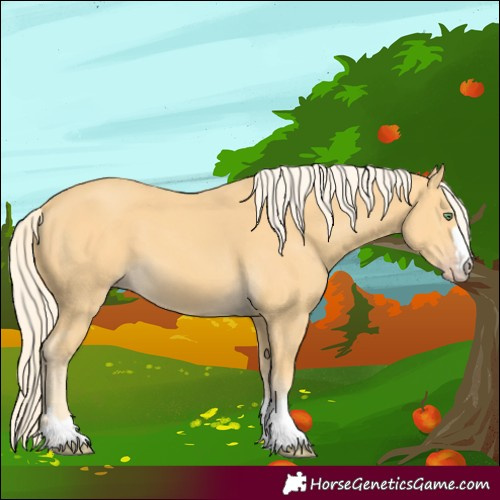 Horse Color:Gold Cream Champagne