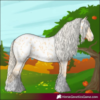 Horse Color:Palomino Near Leopard 