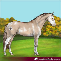 Horse Color:Red Dun Sabino 