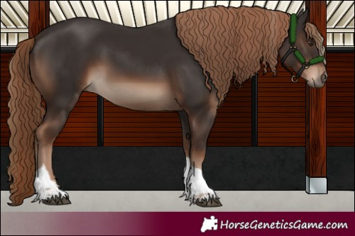 Horse Color:Liver Chestnut Tobiano Rabicano 