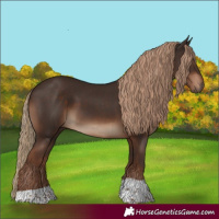 Horse Color:Liver Chestnut Tobiano Rabicano 