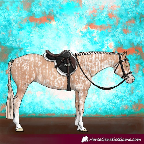 Horse Color:Gold Champagne Appaloosa and Gold Champagne