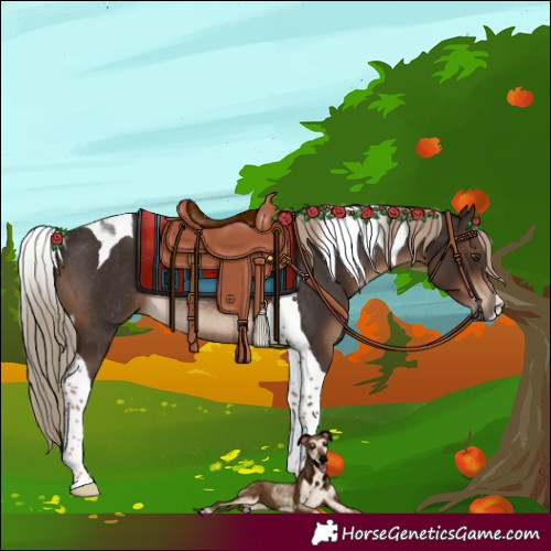 Horse Color:Liver Chestnut Tobiano Rabicano 