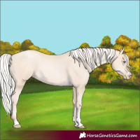 Horse Color:Silver Amber Cream Champagne Pearl 