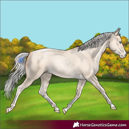 Horse Color:Silver Amber Cream Champagne Pearl