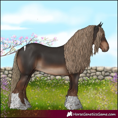 Horse Color:Liver Chestnut Tobiano Rabicano 