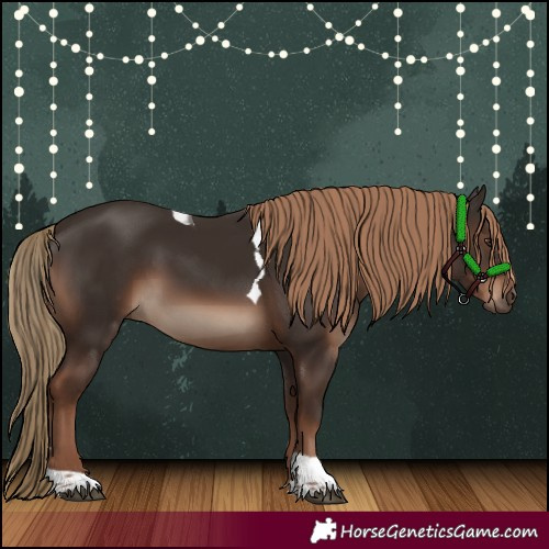 Horse Color:Liver Chestnut Tobiano Rabicano 