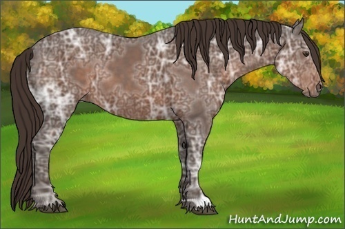 Horse Color:Liver Chestnut Ice 