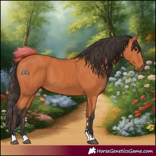 Horse Color:Bay 