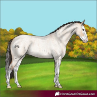 Horse Color:Bay Roan Dun Splash