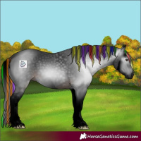 Horse Color:Gray Void Painted Liver Chestnut Splash 