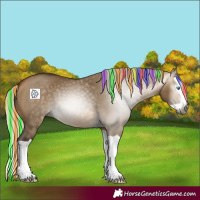 Horse Color:Gray Painted Silver Buckskin Dun Splash