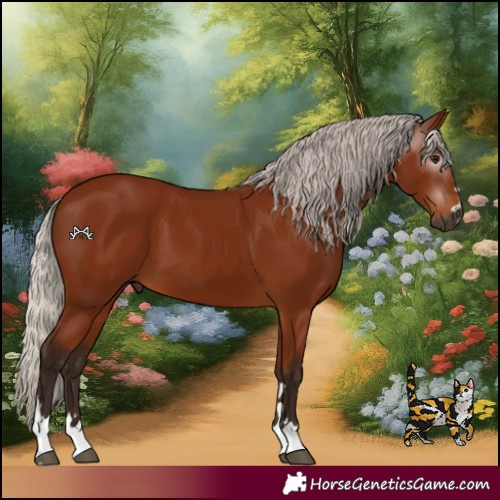 Horse Color:Gray Silver Bay 