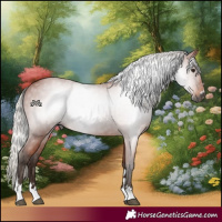 Horse Color:Gray Silver Bay 