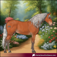 Horse Color:Silver Bay 