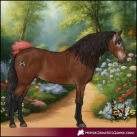 Horse Color:Gray Bay 