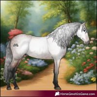 Horse Color:Gray Bay 