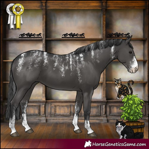 Horse Color:Powder White Black 