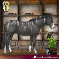 Horse Color:Powder White Black
