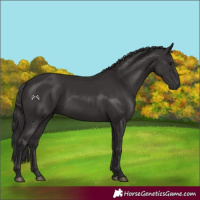 Horse Color:Smoky Black 