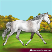 Horse Color:Gray Silver Black Pearl Tobiano 