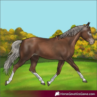 Horse Color:Gray Silver Black Pearl Tobiano 