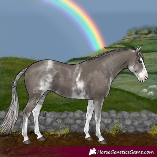 Horse Color:White Spotted Silver Black Splash 