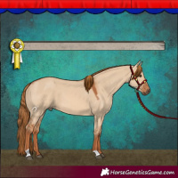 Horse Color:Red Dun 