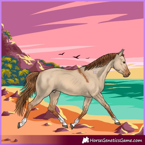 Horse Color:Red Dun 