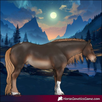 Horse Color:Liver Chestnut Tobiano Rabicano 