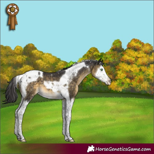 Horse Color:Buckskin Mushroom Splash Tobiano Snowcap 
