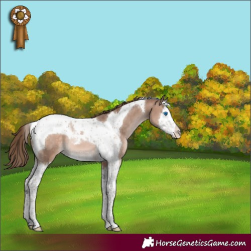 Horse Color:Brown Pearl Mushroom Splash Tobiano Varnish