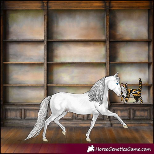 Horse Color:Gray White Spotted Silver Amber Champagne Dun Splash Frame Appaloosa Rabicano 