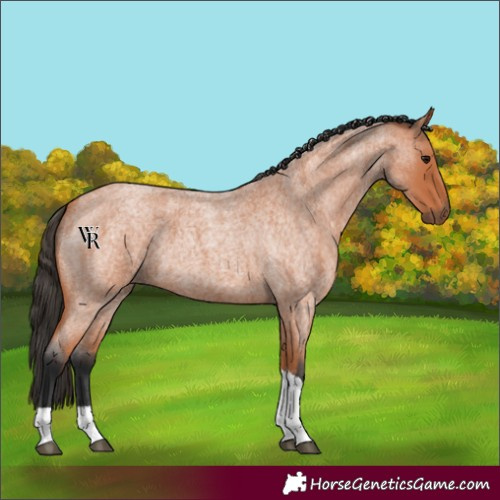 Horse Color:Bay Roan Tobiano 