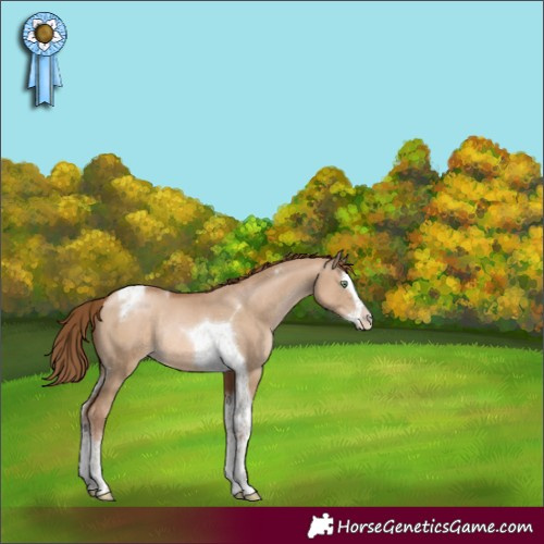 Horse Color:Liver Red Dun Pearl Splash Tobiano Rabicano