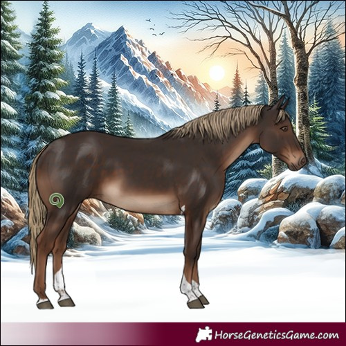 Horse Color:Liver Chestnut Tobiano Rabicano 
