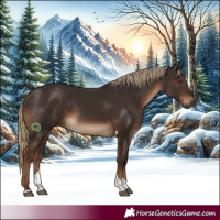 Horse Color:Liver Chestnut Tobiano Rabicano 