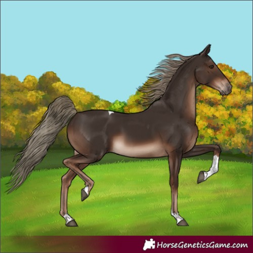 Horse Color:Liver Chestnut Tobiano Rabicano 