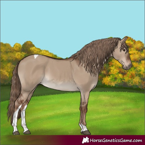 Horse Color:Liver Red Dun Tobiano Rabicano 