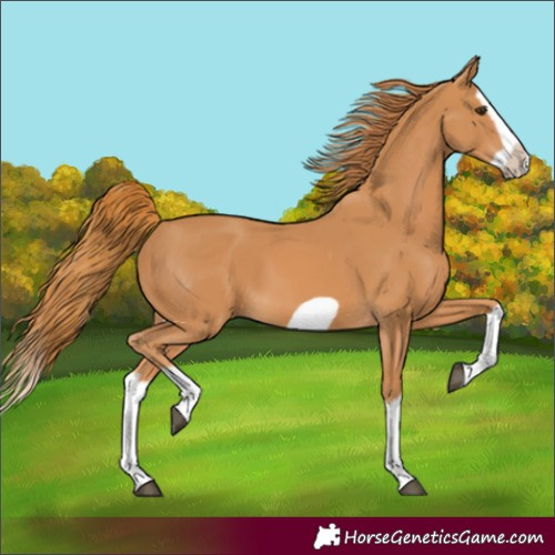 Horse Color:Chestnut Splash Frame 