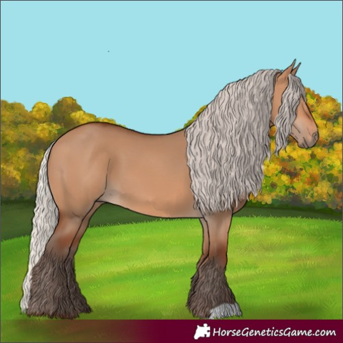 Horse Color:Silver Bay Dun