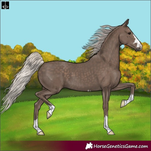 Horse Color:Silver Black 